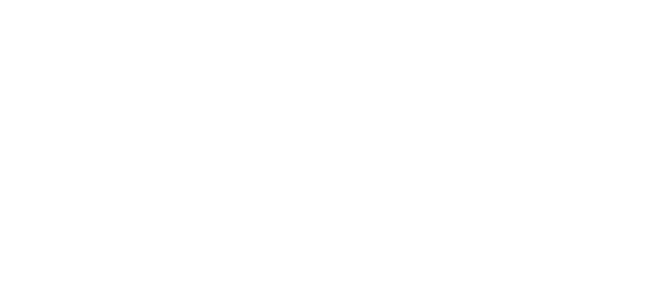 RV Safe